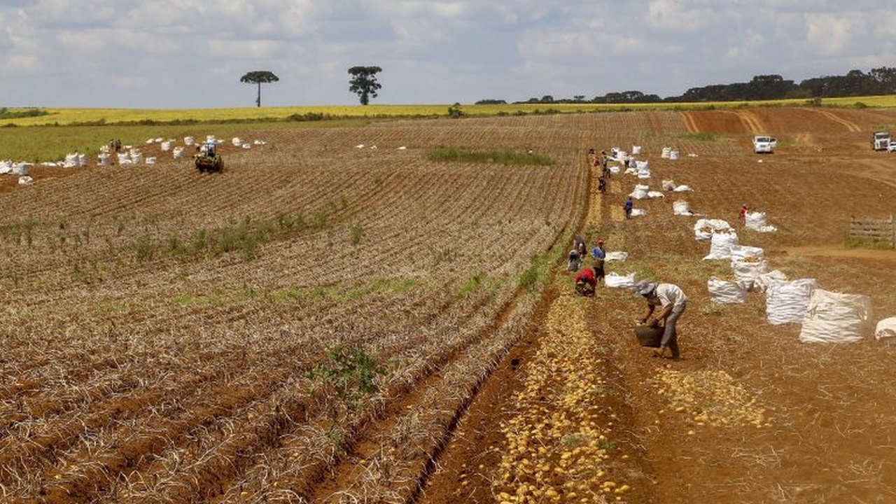 Revolução invisível no campo? Como os bioinsumos estão mudando a economia agrícola?
