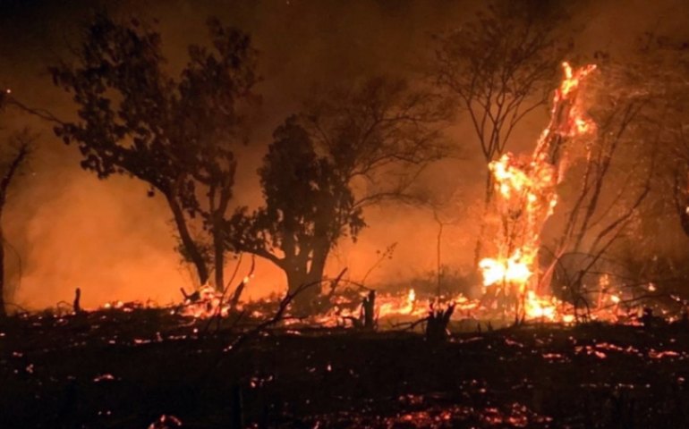 Queimada amedronta moradores da parte serrana de Palmeira