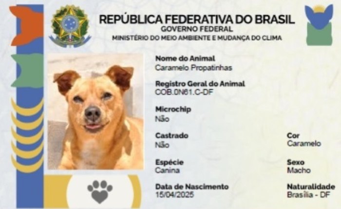 Documento emitido durante a ação Pet Cidadão Documento emitido durante a ação Pet Cidadão