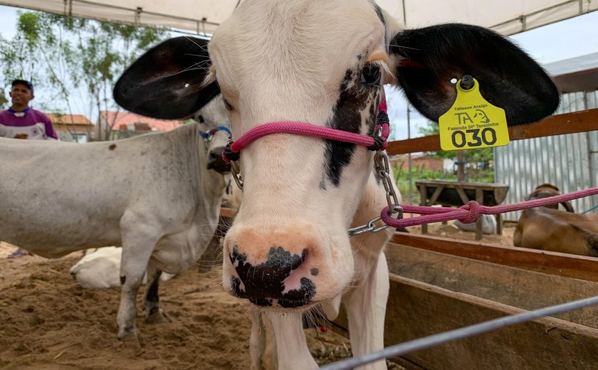 Secretaria de Agricultura prepara programação para a 41ª Expo Bacia Leiteira