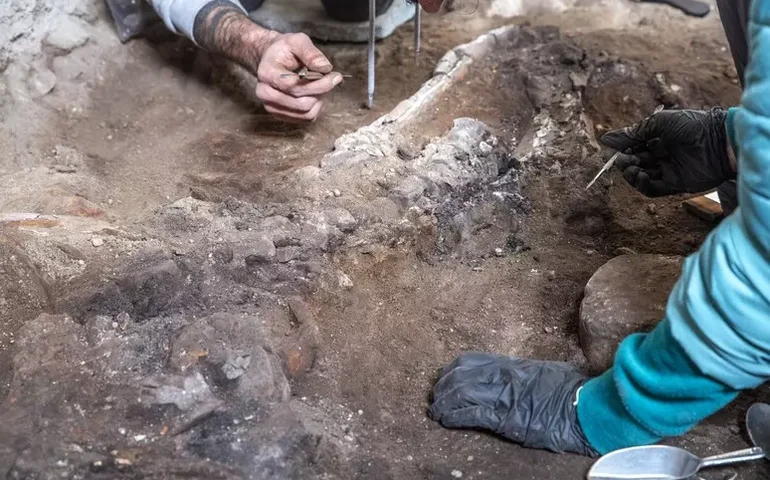 Esqueleto de equino é encontrado durante escavações em Pompeia