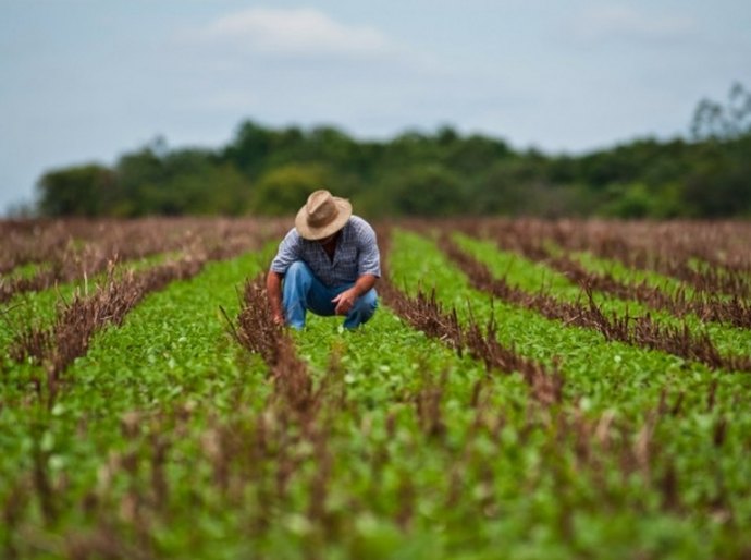Secretário participa do lançamento do Plano Safra da Agricultura Familiar