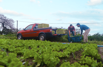 Alagoas sedia reunião da Câmara Temática da Agricultura Familiar do Consórcio Nordeste
