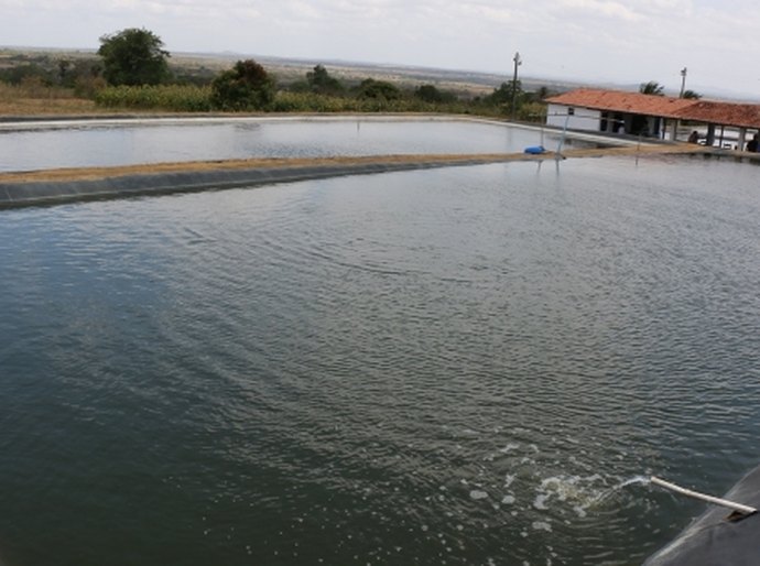 Semarh será homenageada com o prêmio Dryland Champions