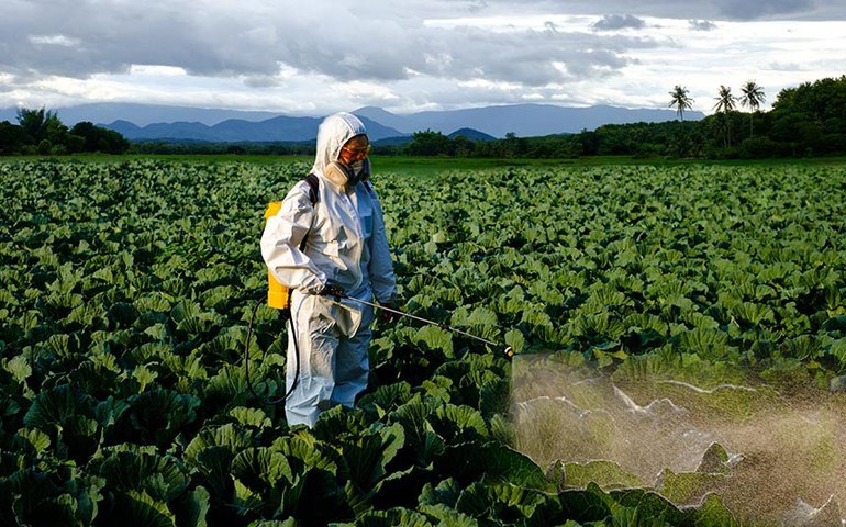 Pulverização de agrotóxicos e violação de direito à saúde serão debatidos na CDH