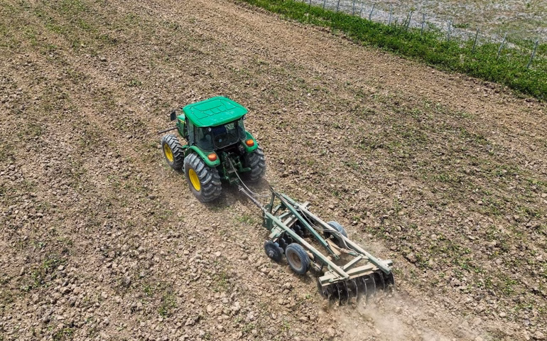 Prefeitura de Penedo faz preparo de solo e oferta assistência técnica para incentivar produção de arroz
