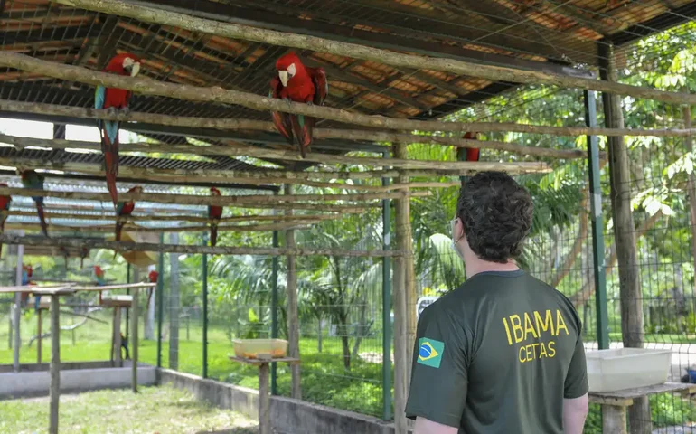 Servidores federais ambientais iniciam greve