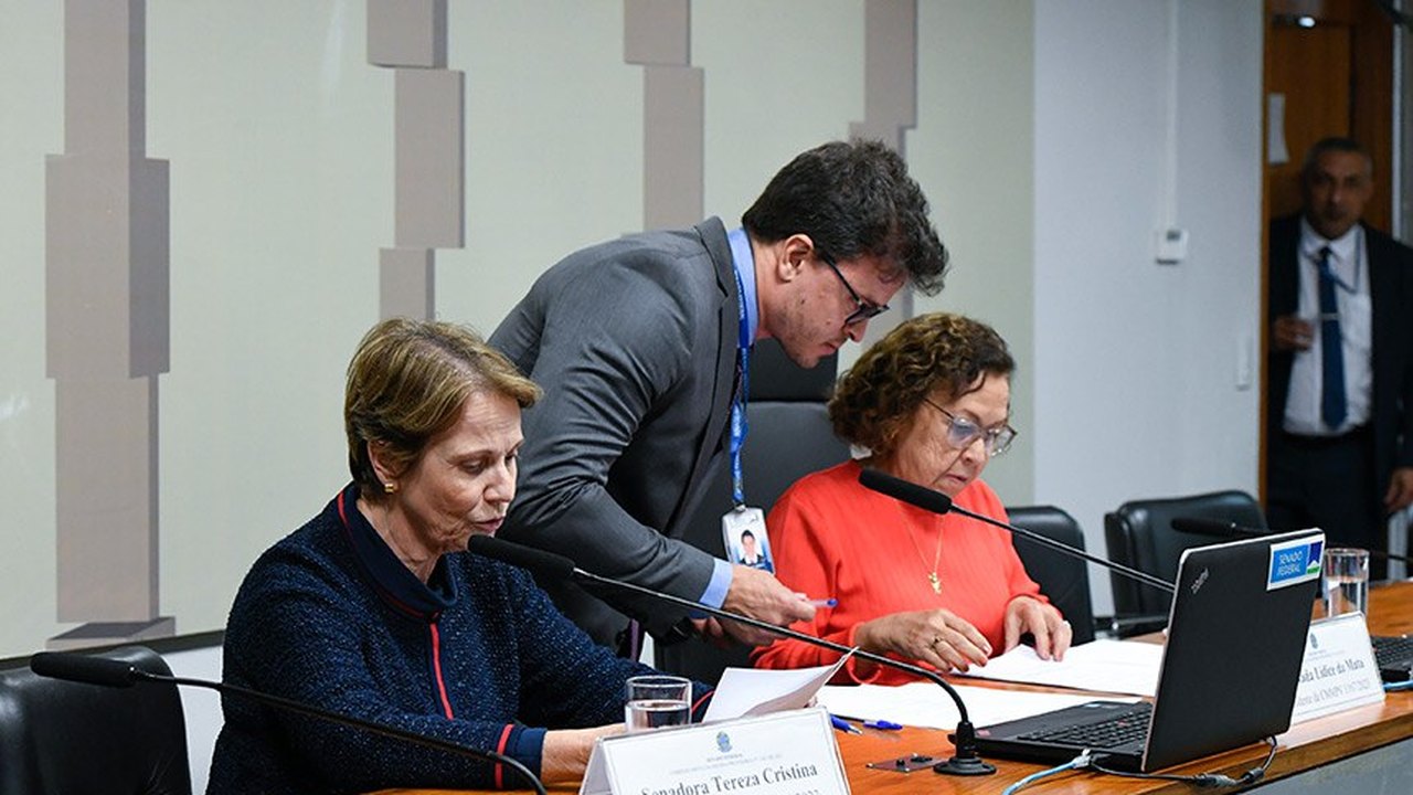 Comissão aprova plano de trabalho para analisar MP sobre licitações
