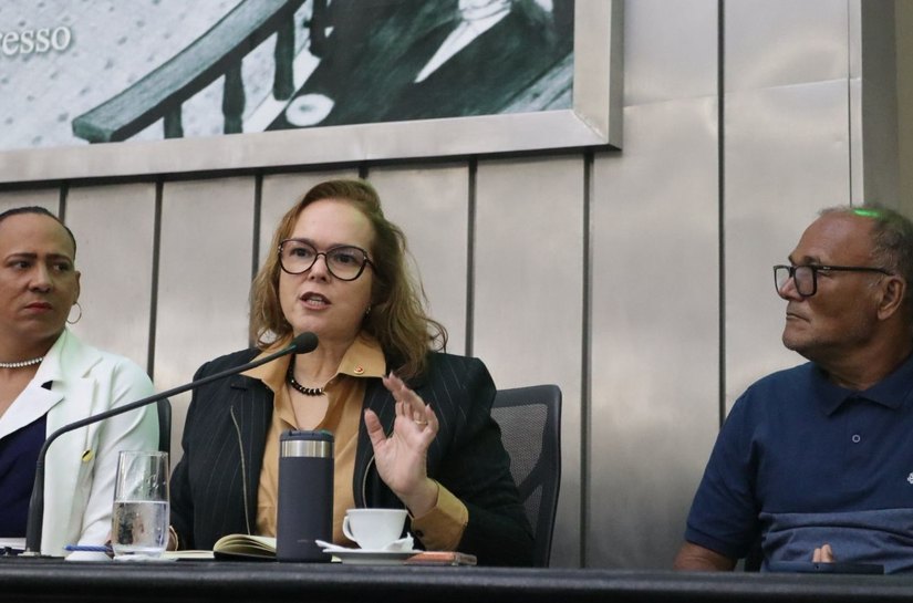 MPAL aponta falhas e ações cruciais que podem garantir implementação efetiva da Lei Antimanicomial e da Política de Saúde Mental durante sessão pública na ALE