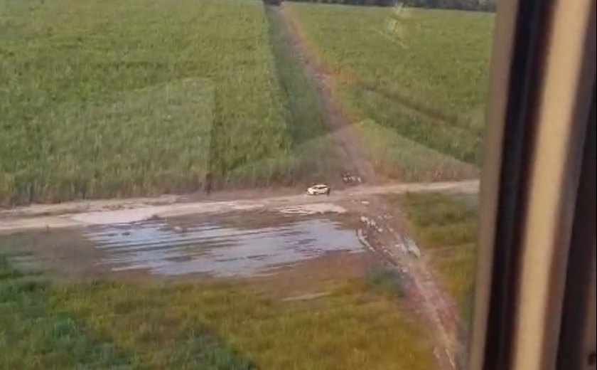 Três jovens são resgatados de canavial em Alagoas