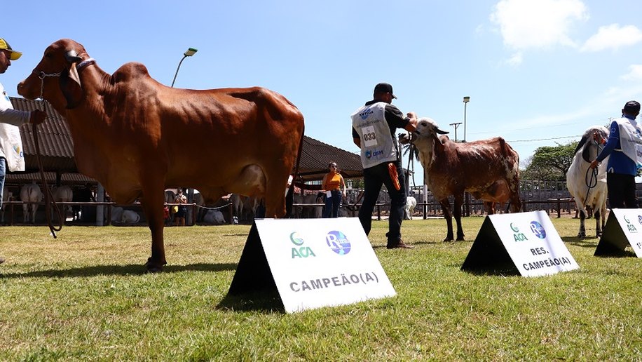ACA firma compromisso sanitário para a realização da 71ª Expoagro/AL