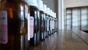 remédios homeopatia