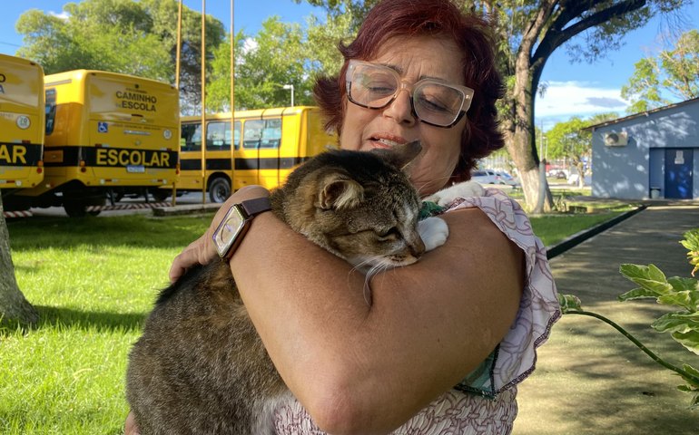Projeto de escola estadual promove atendimento veterinário gratuito e aberto à comunidade