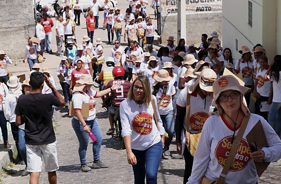 combate a dengue