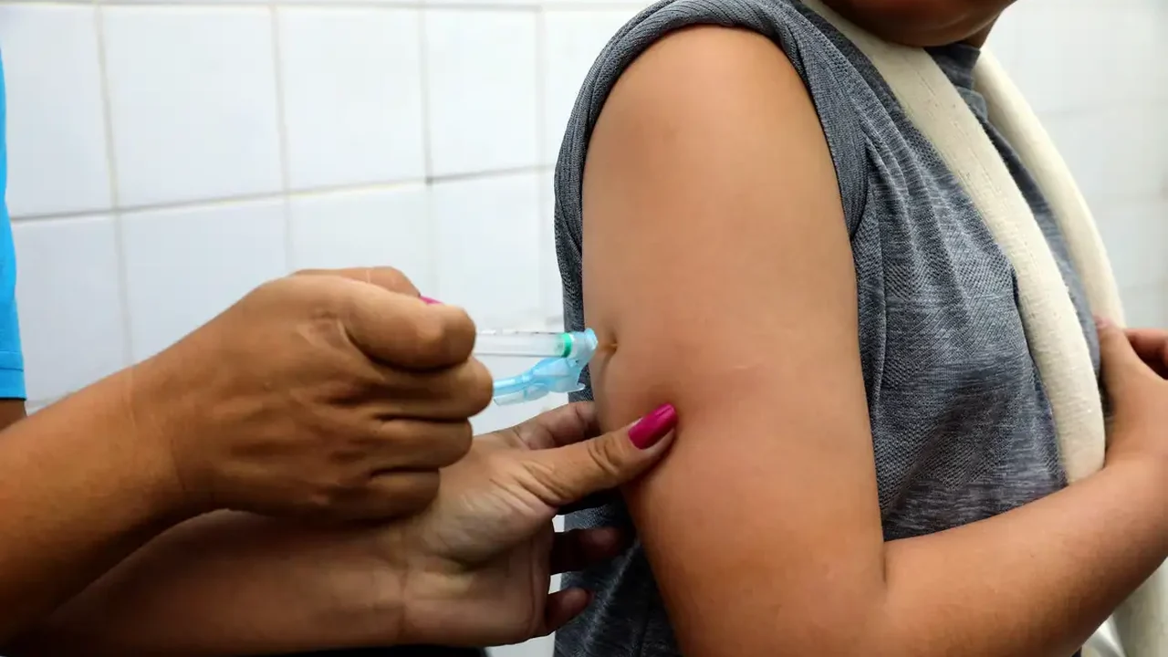 Dengue: vacinação pode levar até 8 anos para reduzir transmissão