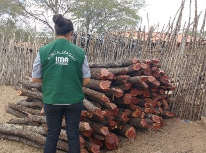 Fiscalização flagra desmatamento em Girau do Ponciano