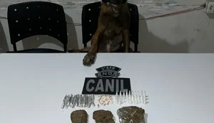 K9 Bill. Fonte: Ascom PMAL