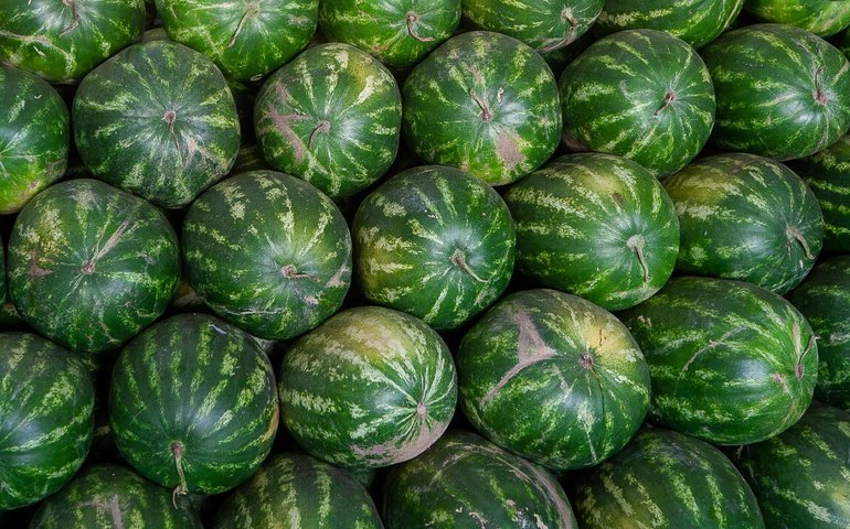 Melancias falsas com R$ 27 milhões em drogas são encontradas por agentes dos EUA