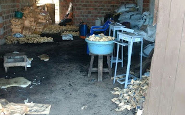 Polícia apreende quatro toneladas de fumo falsificado em Arapiraca