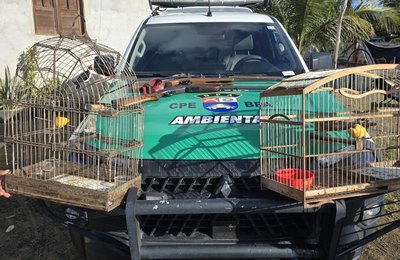 PM apreende armas e resgata animais durante fiscalização ambiental em Piaçabuçu