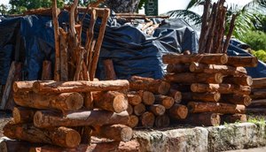 Aracaju libera três pontos para venda de fogueiras; confira os locais / Foto: Foto: Felipe Goettenauer/Emsurb