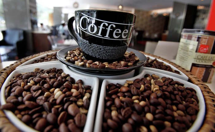 Preço do café pode subir 25% em 2025 devido às safras no Brasil e Vietnã, alerta especialista Preço do café pode subir 25% em 2025 devido às safras no Brasil e Vietnã, alerta especialista