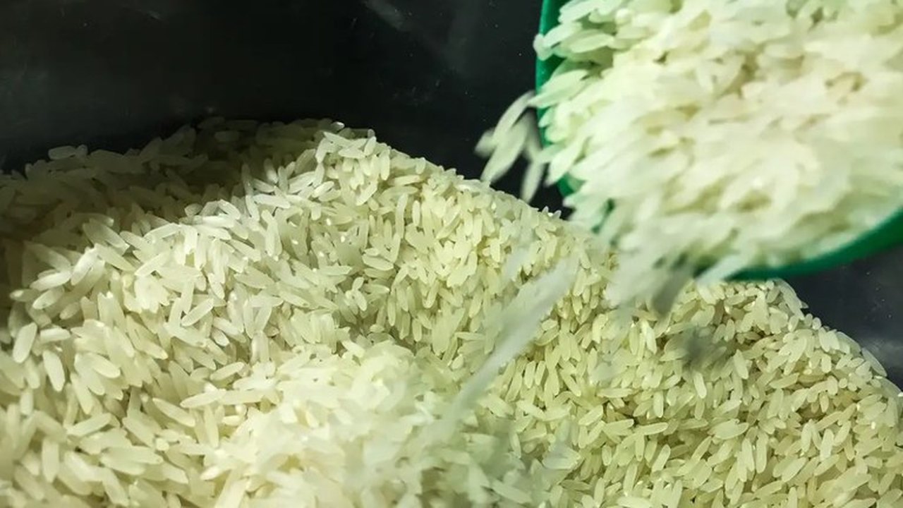 Diretor da Conab demitido por leilão de arroz suspenso diz que escorregou em ‘casca de banana’: 'Fiz o que o ministro mandou'