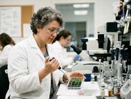 Vitamina D pode ajudar a reduzir acúmulo de proteínas ligadas ao Alzheimer