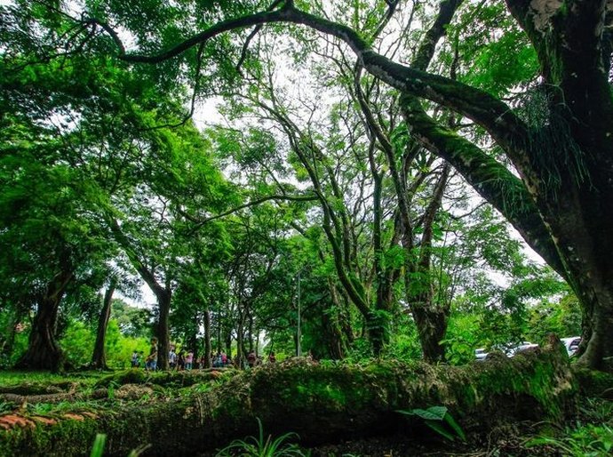 “Domingo com a Guarda” tem início neste fim de semana no Parque do Horto