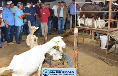 Com apoio da prefeitura de Major, Associação de Capelinha promove a 15ª edição do torneio leiteiro 