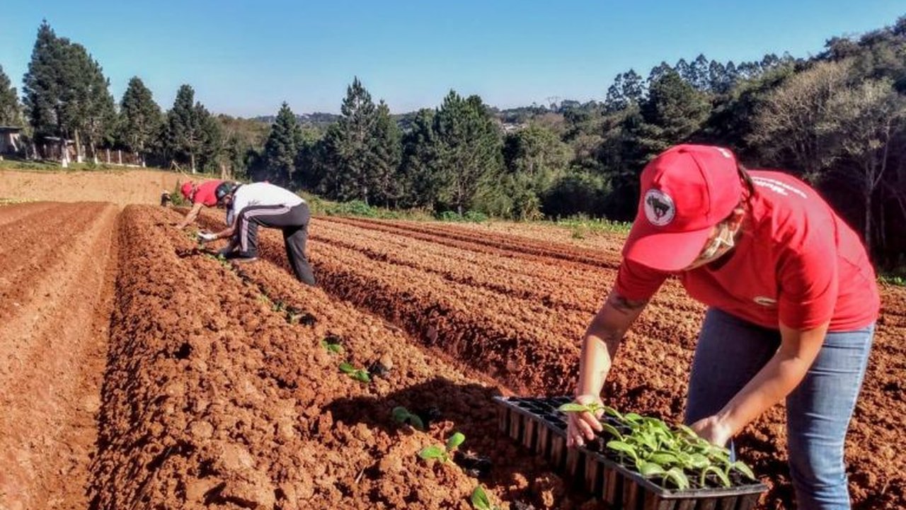 Comissão recebe ministro Paulo Teixeira para debater reforma agrária e agricultura familiar