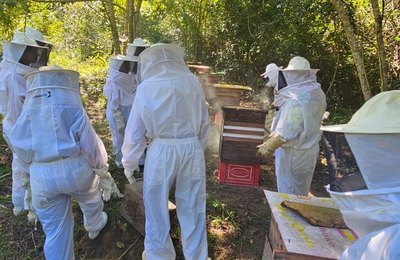 Bombeiros civis recebem  formação técnica para uma atuação segura nas ocorrências com abelhas