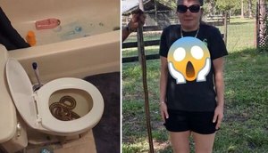 cobra-vaso-urina-surpresa-animal-26072023183036047