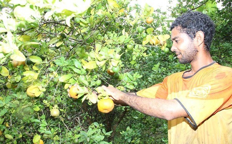 Governo entrega caminhões para apoio a agricultores na Zona da Mata