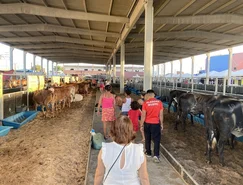 EXPOAGROALAGOAS7.jpg 