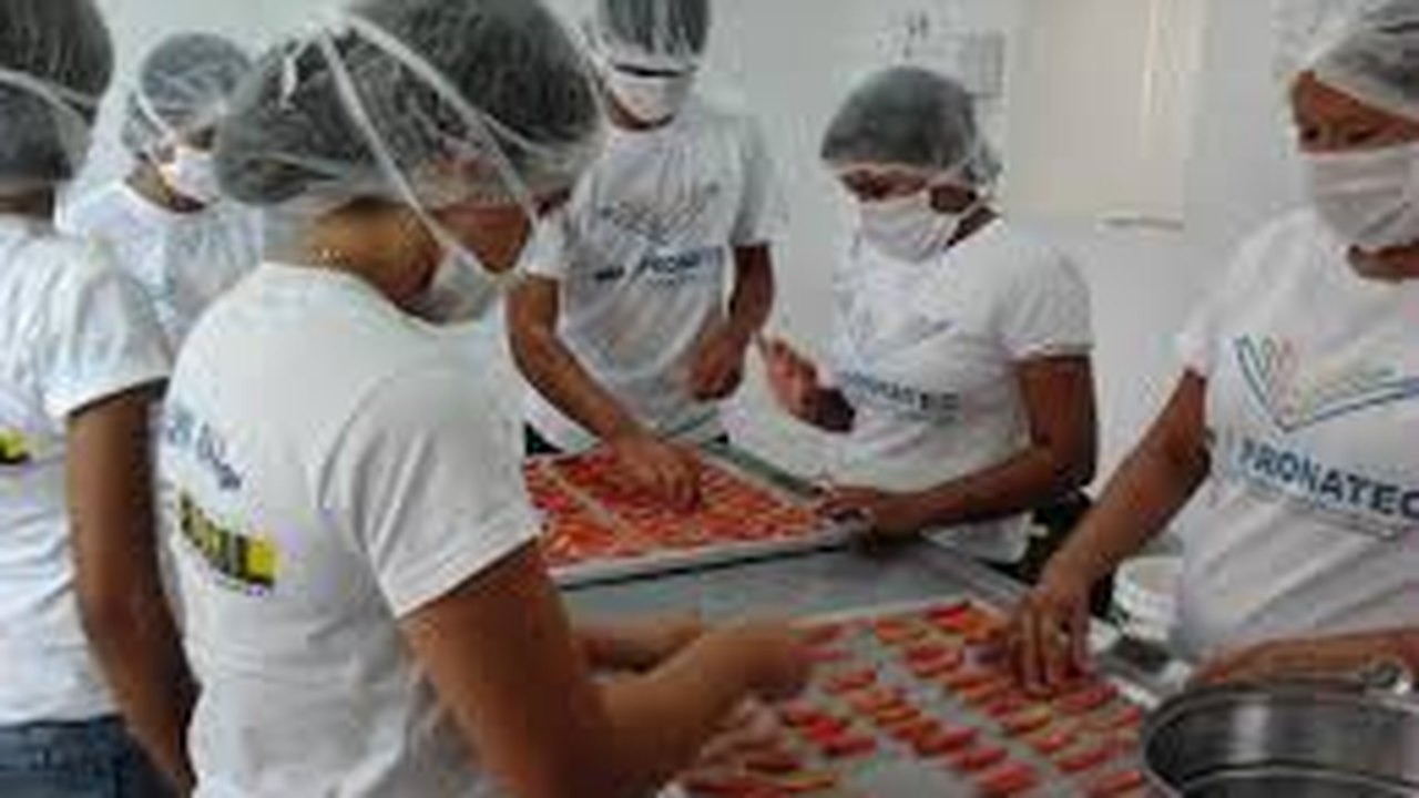 Pronatec ofertará 7.070 vagas para 136 cursos em Alagoas