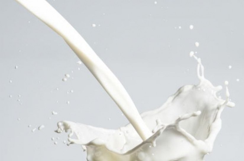 Emater e CPLA discutem planejamento de ATER para Cadeia do Leite