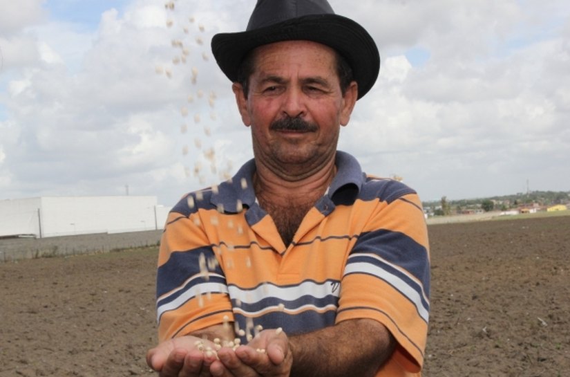 Penedo e região do Baixo São Francisco são beneficiados com sementes de arroz