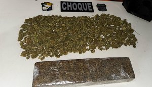 tráfico de drogas maconha / Foto: Foto: SSP/ Divulgação