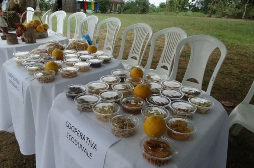 Agricultores comemoram II Seminário de Fruticultura
