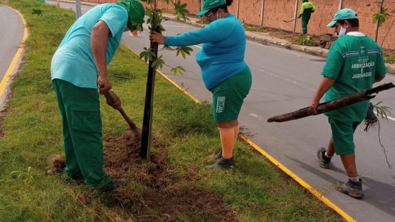 Nova avenida ganha mais de 200 mudas de árvores