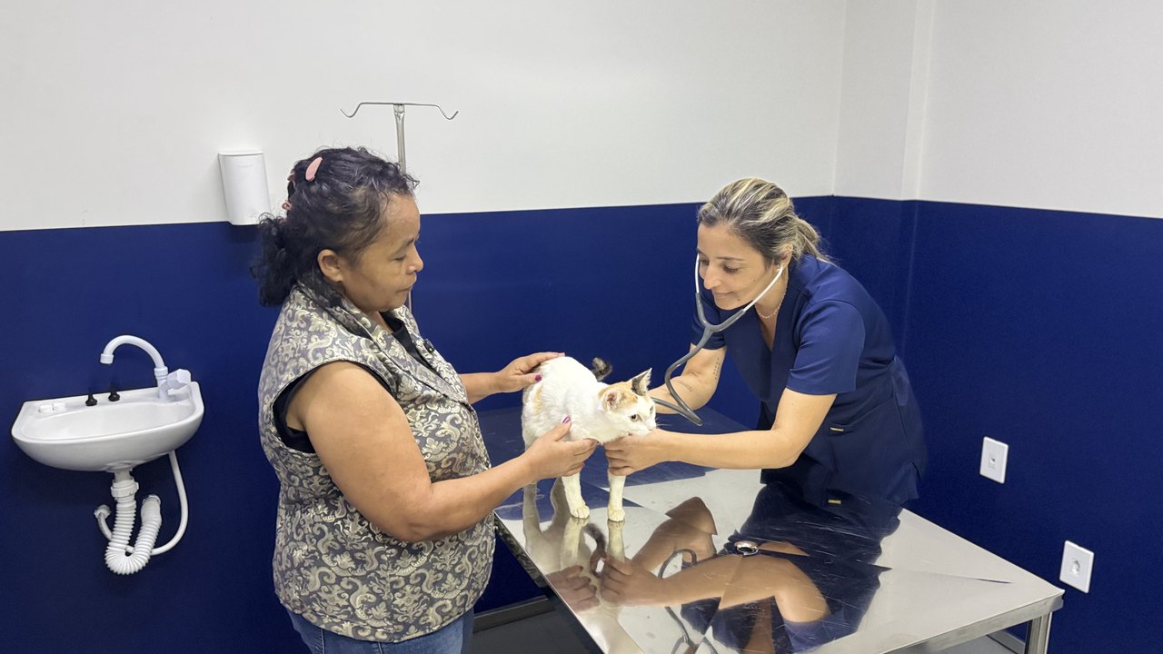 HC Pet transforma vidas e promove saúde e dignidade aos pets de Maceió