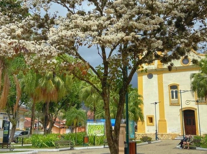 ‘Melhores Vilas Turísticas do Mundo’: São José do Barreiro (SP) é um dos destinos brasileiros na disputa