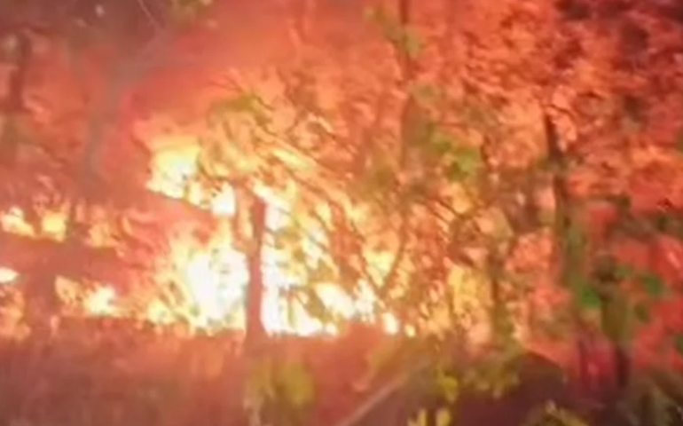 Caminhão despenca em ribanceira, incendeia e duas pessoas morrem carbonizadas em Pão de Açúcar