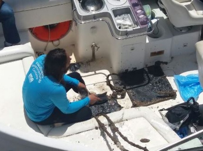 IMA/AL vistoria placas para identificar presença do coral-sol na costa alagoana