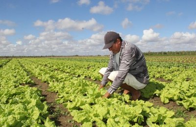 Prefeitura de Arapiraca publica edital de Notificação de liquidação de dívidas de pequenos agricultores