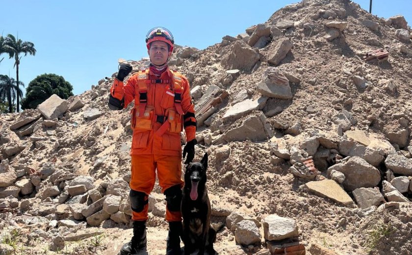 Cadela do Corpo de Bombeiros de Alagoas conquista certificações nacionais em busca e resgate