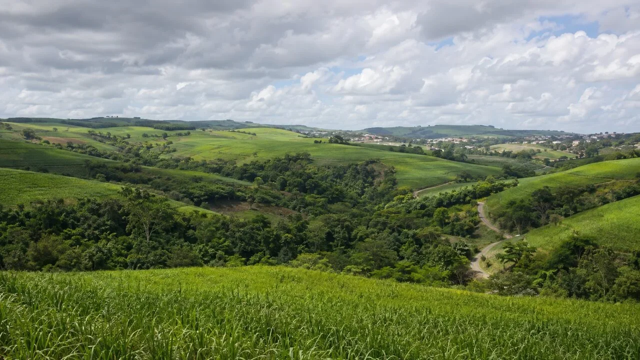 Zona da Mata tem quarta de tempo variável; dados de referência pedem atenção a chuva e vento