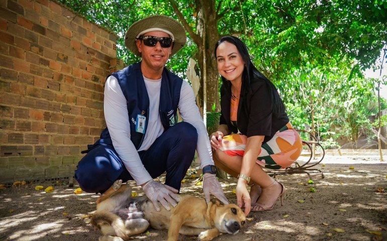Dia D: Arapiraca divulga postos de vacinação antirrábica para a zona urbana