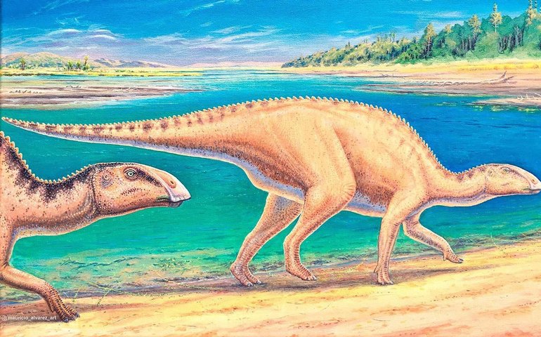 Pegadas de dinossauros de 160 milhões de anos são descobertas no Chile